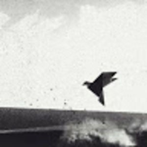 Meet your Posher, Shawn